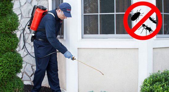 Kulp Kene İlaçlama böcek ilaçlama ve haşere kontrolü — ilaclama-tr.com